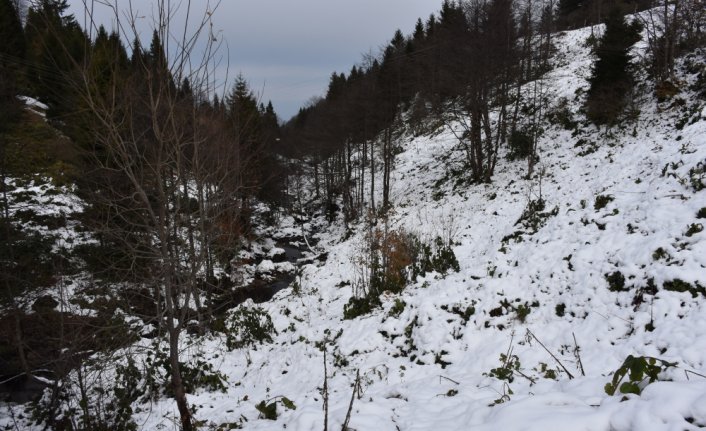 Trabzon'da, doğal güzellikleriyle dikkati çeken Balıklıgöl'ün yüzeyi buz tuttu