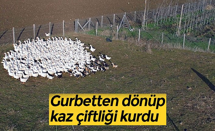 Gurbetten dönüp kaz çiftliği kurdu