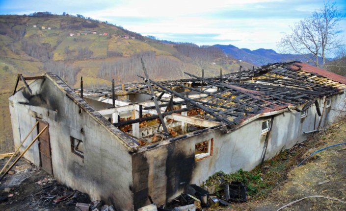 Ordu'da yanan kümesteki 1500 tavuktan 400'ü telef oldu