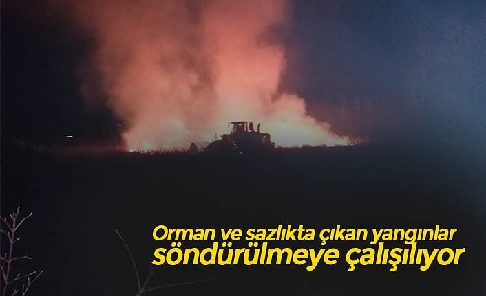 Orman ve sazlıkta çıkan yangınlar söndürülmeye çalışılıyor