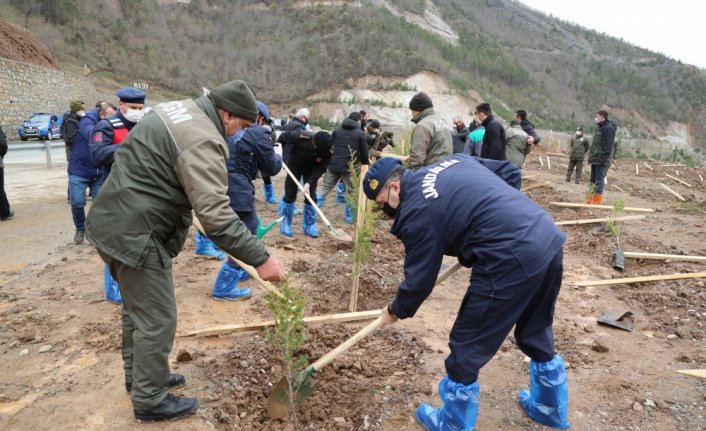 Artvin'de 408 fidan toprakla buluşturuldu