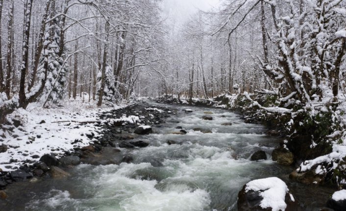 Rize ve Giresun'da kar dolayısıyla 41 köy yolu ulaşıma kapandı