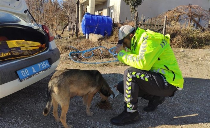 Artvin'de polisler tam kapanmada sokak hayvanlarını besledi