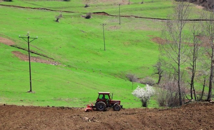 Ordu'da 300 dönümlük atıl arazi yeniden tarıma kazandırıldı