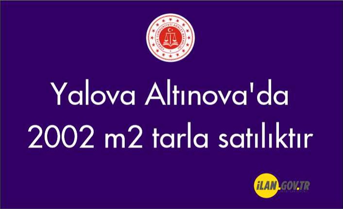 Yalova Altınova'da 2002 m2 tarla icradan satılıktır