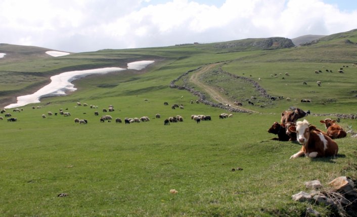 Bayburt'ta kışla sessizliğe bürünen dağ köyleri canlandı