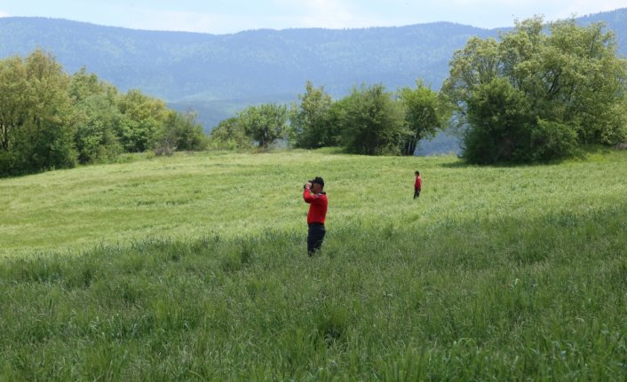 Bolu'da kaybolan alzaymır hastası aranıyor