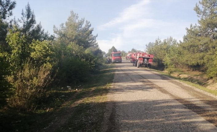 GÜNCELLEME - Kastamonu'da çıkan orman yangını kontrol altına alındı