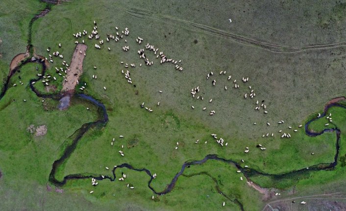 Karadeniz yaylaları muhteşem manzaraları ile ziyaretçilerini bekliyor