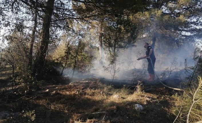 Kastamonu'da çıkan orman yangınına müdahale ediliyor