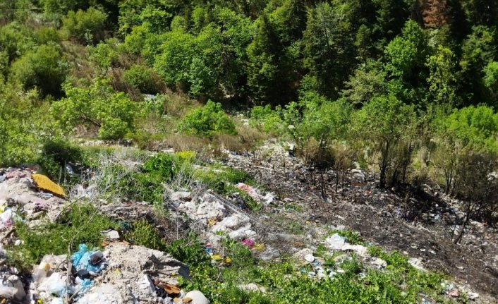 Kastamonu'da çöplükte çıkan ve ormana sıçrayan yangın söndürüldü