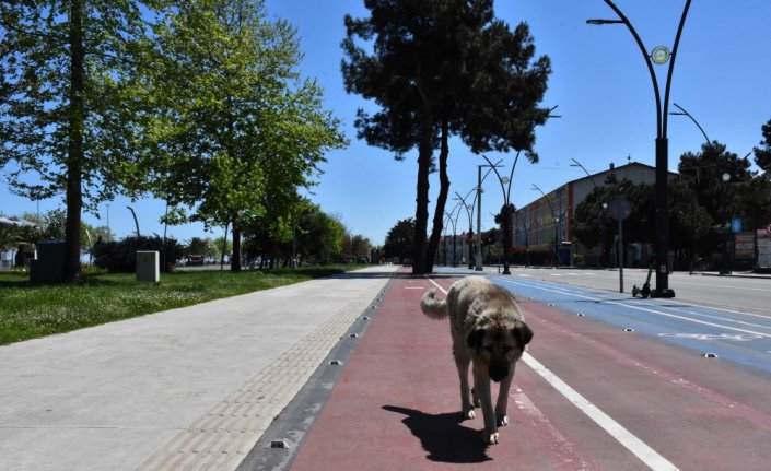 Orta ve Doğu Karadeniz'de 