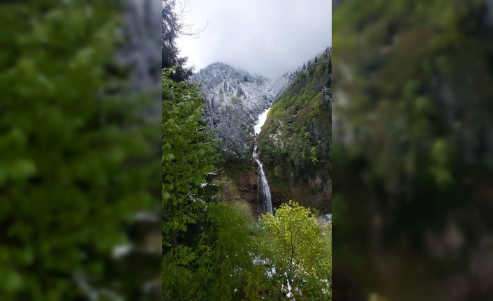 Rize'nin yüksek rakımlı yaylalarına kar yağdı