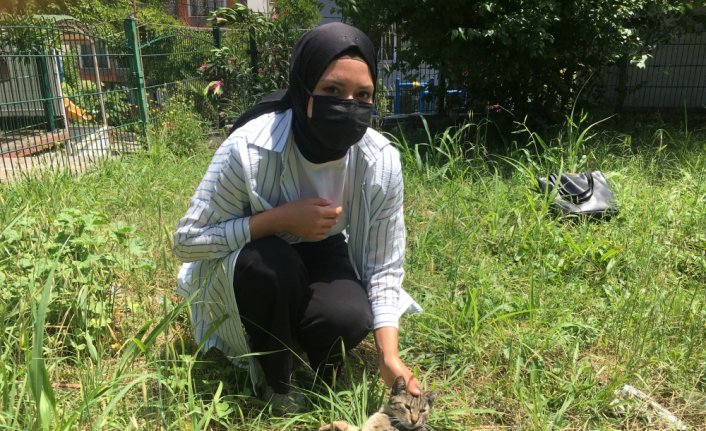 Bartın'da kafası yoğurt kabına sıkışan kediyi vatandaşlar kurtardı