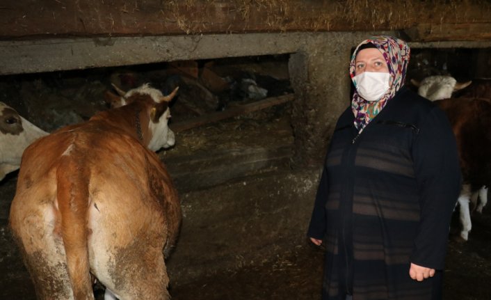 Karabük'te engelliler besici olma hayallerine İŞKUR sayesinde kavuştu