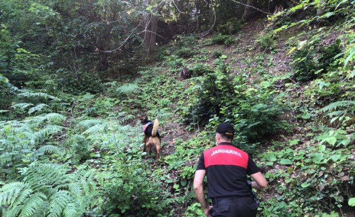 Kastamonu'da 28 gün önce kaybolan kişiyi arama çalışmaları sürüyor