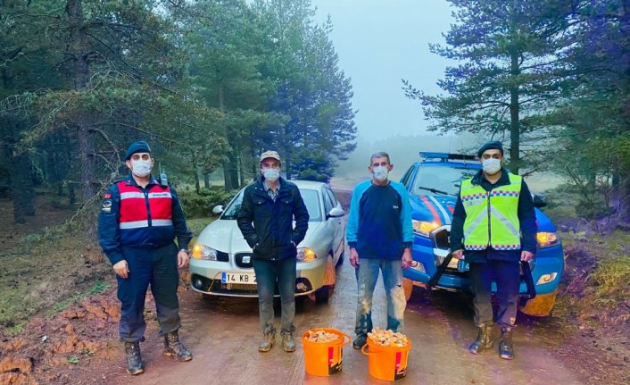 Bolu'da mantar toplamak isterken ormanda kaybolan 2 kişi bulundu