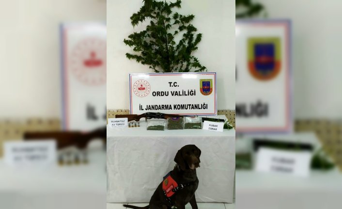 Ordu'da uyuşturucu operasyonunda 2 kişi gözaltına alındı