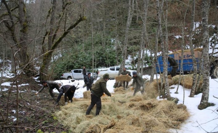 Bolu'da yabani hayvanlar için hazırlıklar tamamlandı