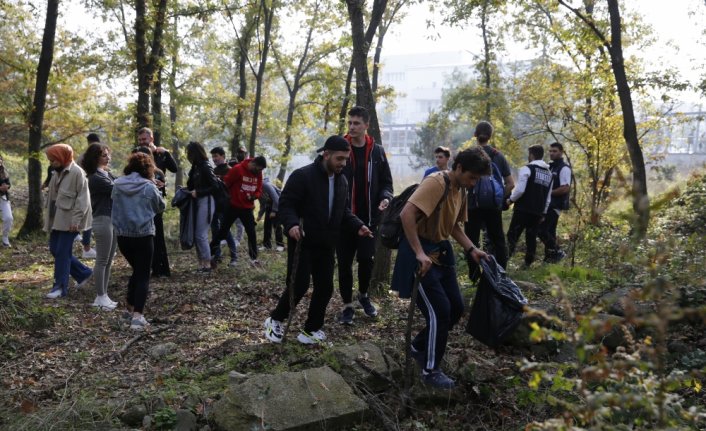 Samsun'da üniversite öğrencileri meşe palamudu topladı