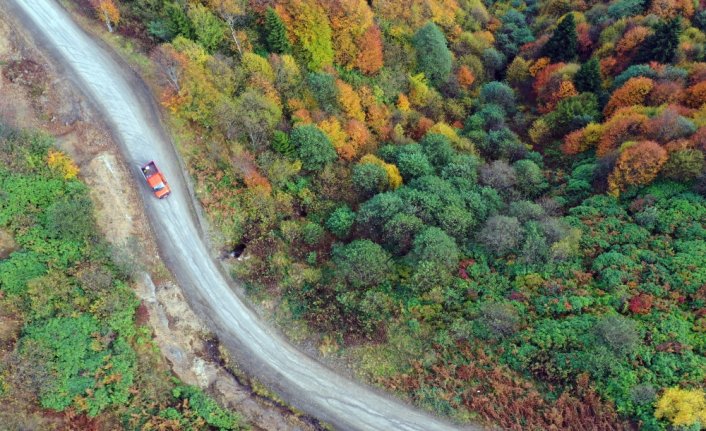 Trabzon'un 1600 rakımlı Hıdırnebi Yaylası'nda güz zamanı