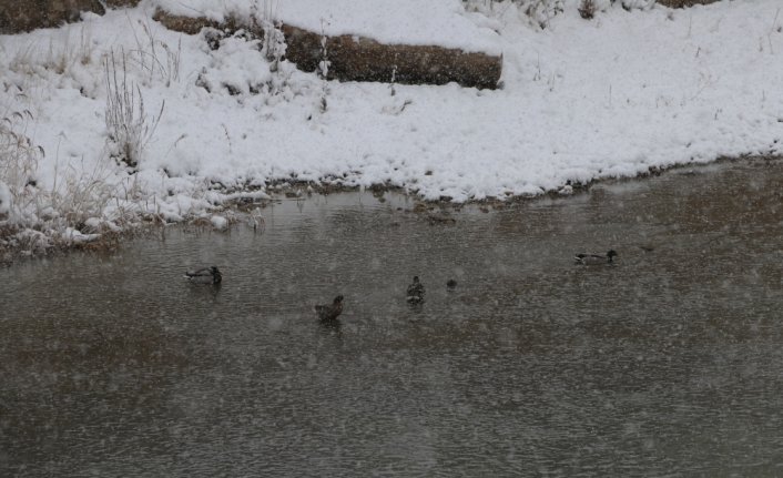 Bayburt'ta kar etkisini sürdürüyor