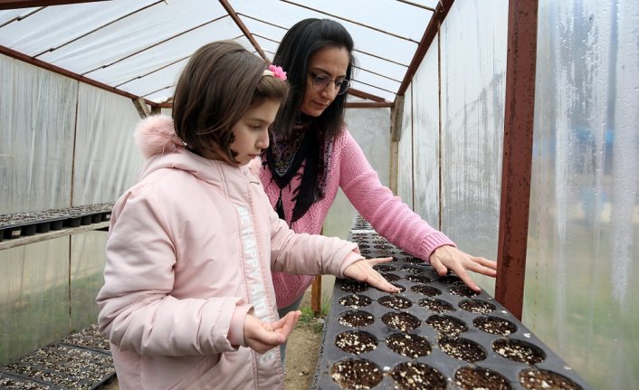 Öğretmenin ata tohumu sevgisi öğrencilerinin elinde fideye dönüşüyor