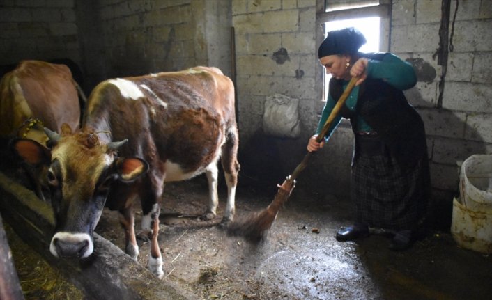 Üretici kadınların pazar tezgahındaki sesi oldu