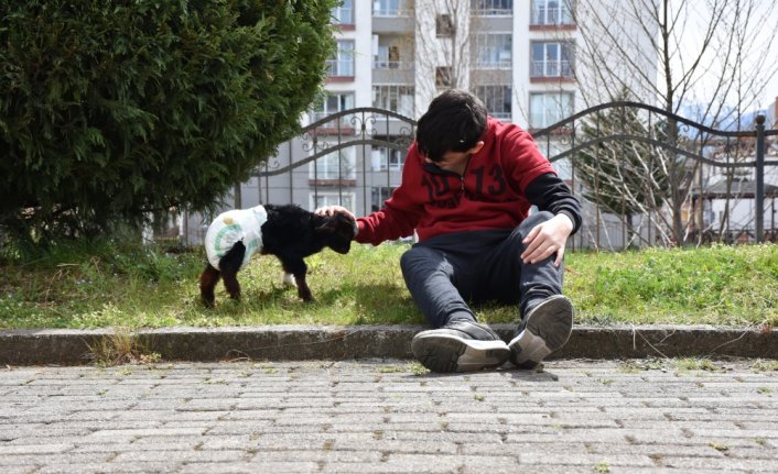 Evde baktıkları oğlağı biberonla besliyorlar