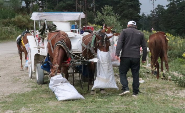 Abant Milli Parkı'nda at ve faytonla yapılan gezi faaliyetleri sonlandırıldı