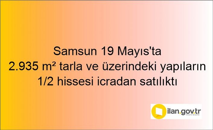 Samsun 19 Mayıs'ta 2.935 m² tarla ve üzerindeki yapıların 1/2 hissesi icradan satılıktı