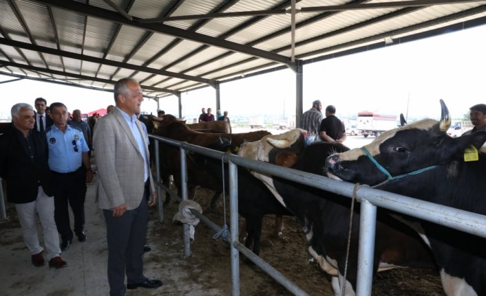 Suluova Belediye Başkanı Üçok, hayvan pazarını ziyaret etti