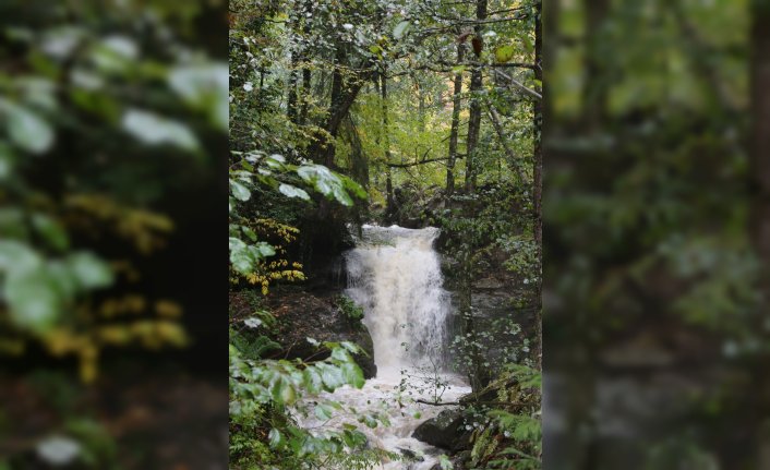 Artvin Valisi Doruk Delikli Kaya Şelalesi'nde incelemelerde bulundu