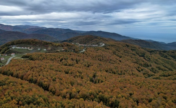 Kastamonu sonbaharın bütün renklerini yansıtıyor