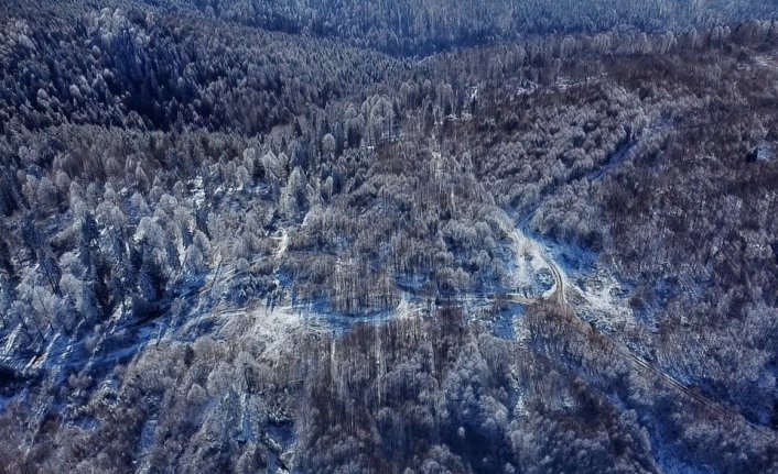 Düzce'deki Topuk Yaylası'na kar yağdı