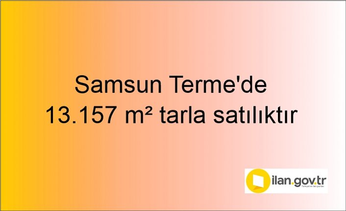 Samsun Terme'de 13.157 m² tarla mahkemeden satılıktır