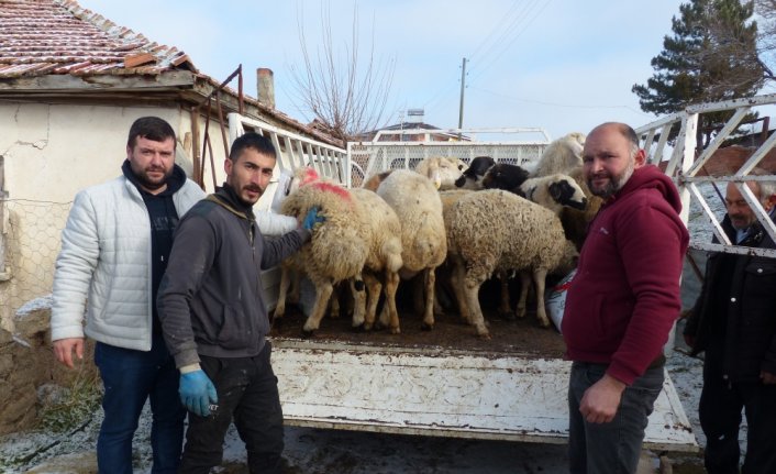 Amasyalı besiciler depremzedeler için hayvan bağış kampanyası başlattı