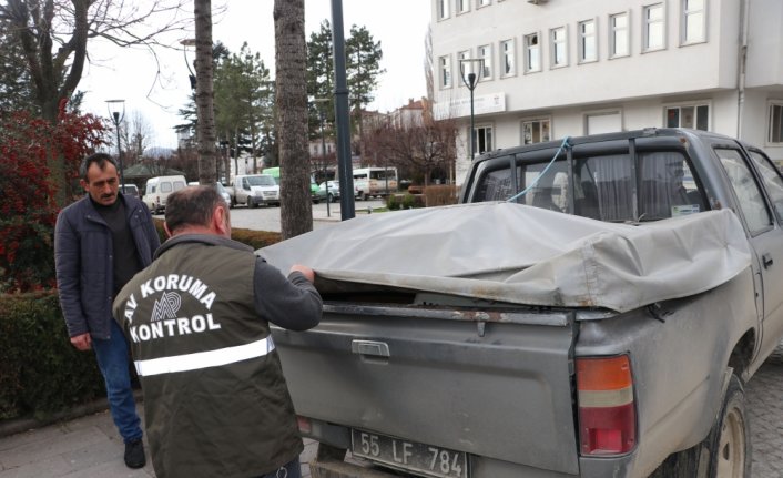 Havza'da yaralı bulunan şahin koruma altına alındı