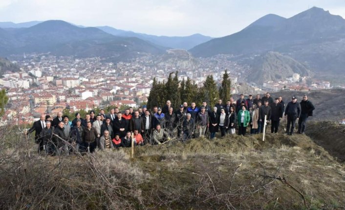 İskilip'te 100. Yıl Ceviz Ormanı'na bin civarında fidan dikildi