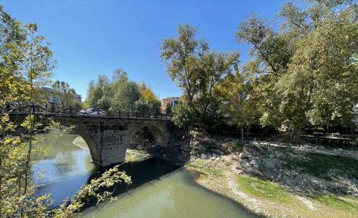 Bartın Irmağı'ndaki balık ölümlerine ilişkin inceleme başlatıldı