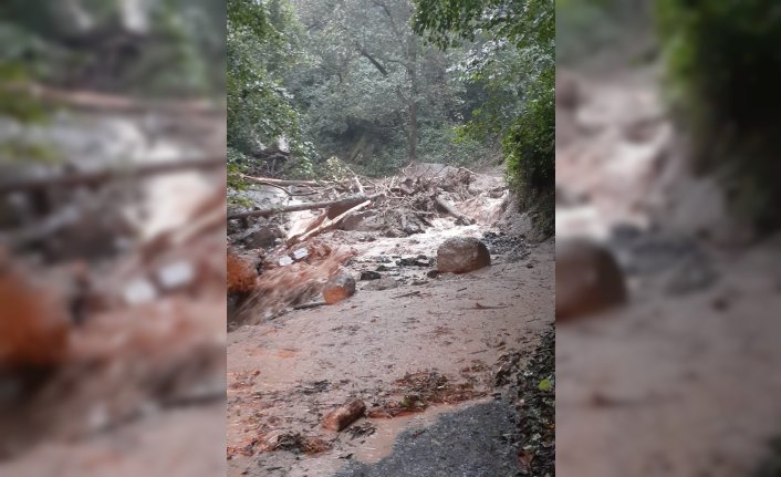 Artvin'de heyelan nedeniyle kapanan köy yolları ulaşıma açıldı