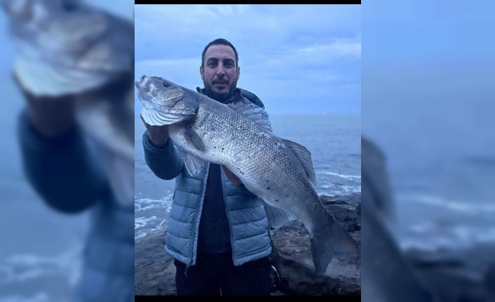 Akçakoca'da amatör balıkçı 8 kilogram ağırlığında levrek yakaladı