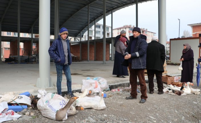 Tirit sezonunun başlamasıyla Havza'da kaz satışları arttı