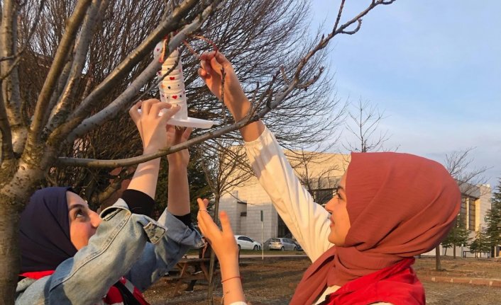 Bolu'da üniversite öğrencileri atık malzemelerden yemlik ve mama kabı yaptı