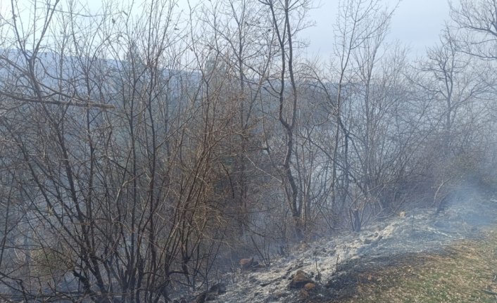 Niksar'da çıkan örtü yangını söndürüldü