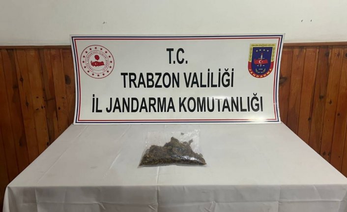 Trabzon'da jandarma ekiplerince uyuşturucu operasyonu düzenlendi