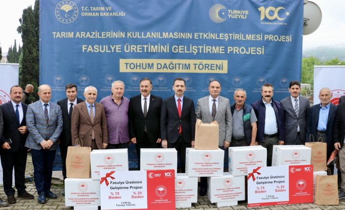 Trabzon'da 3 ton fasulye tohumu 700 dekar alana ekilecek