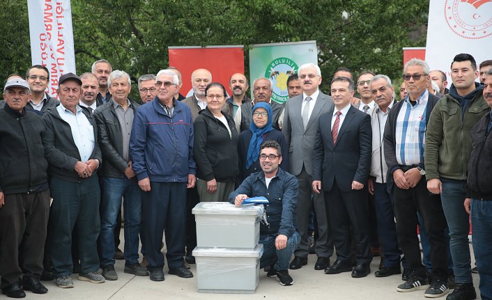 Bolu'da arıcılara damızlık ana arı dağıtıldı