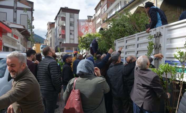 Çaykara'da vatandaşlara 5 bin meyve fidanı dağıtıldı