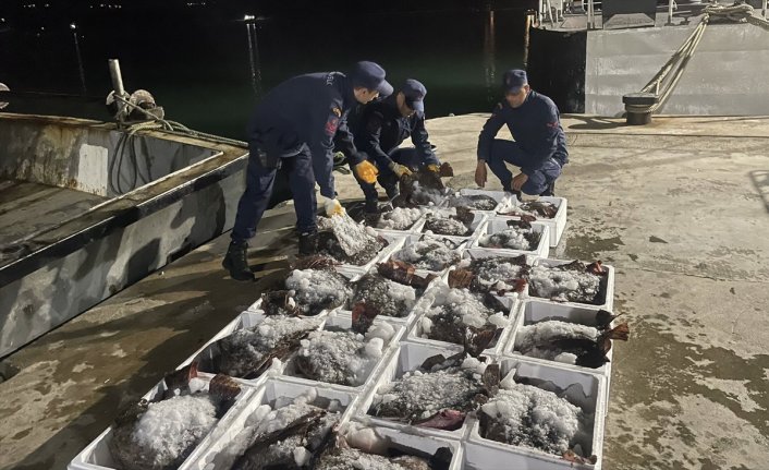 Sinop'ta kaçak olarak avlanan 880 kalkan balığı ele geçirildi